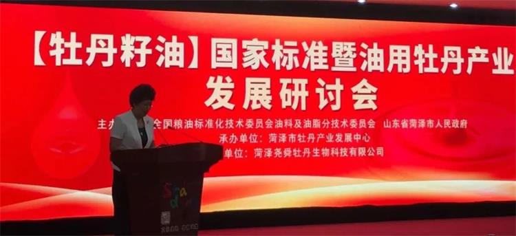 1598317112932004.jpg 2.webp.jpg