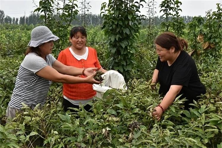 1598317782158169.jpg 16.webp.jpg